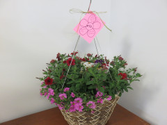 #72 Large Hanging Flower Basket donated by Salemville Greenhaus-Cambria.